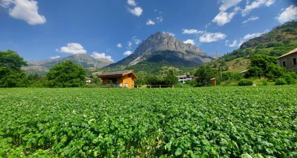 Apicoltura Fossati | Apiterapia