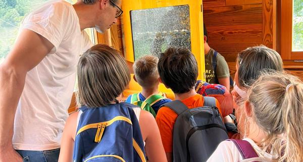 Apicoltura Fossati | Apiterapia